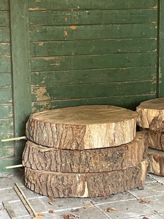 9x Eikenhouten schijf